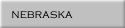 Nebraska (Richard Jenkins)